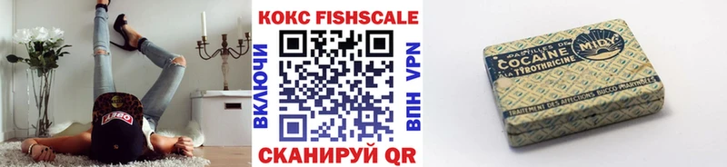 Cocaine FishScale  сколько стоит  kraken онион  Верхотурье 