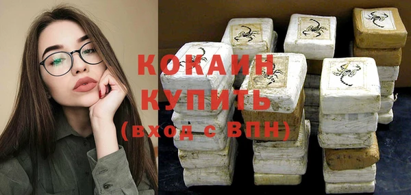 стафф Бородино