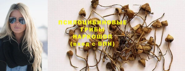 стаф Богородицк