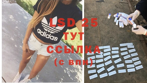 стаф Богородицк