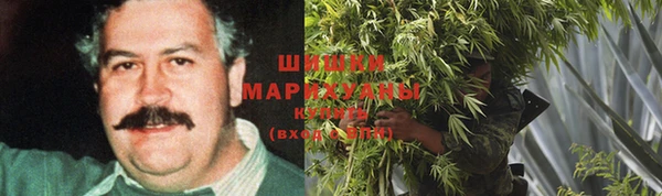 стафф Бородино